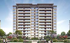 修建劳务分包案例8